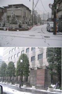 大雪@Tokyo