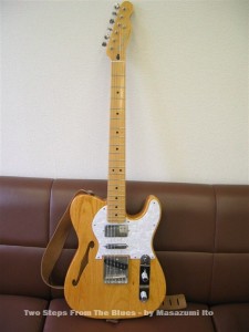 Fender Japan Thinline