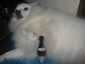 特別出演　いとうこゆきさん