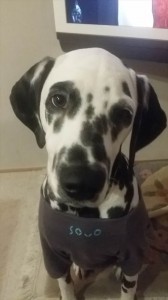 IMG_20151228_211454_R