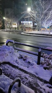 20220106_snow_R